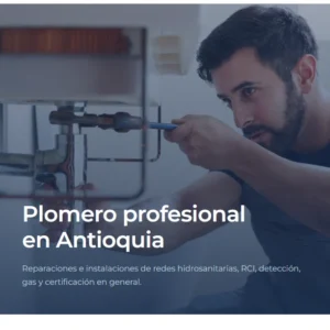 web de plomeros tablet
